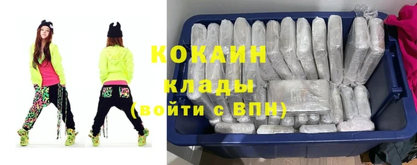 стаф Бородино