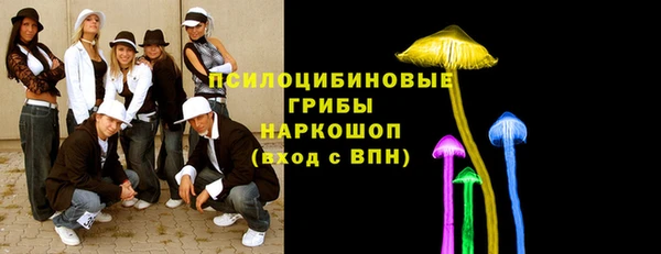 амф Бугульма