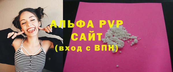 стаф Бородино