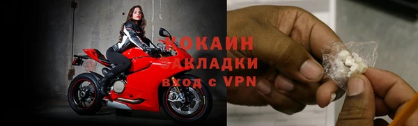 стаф Бородино