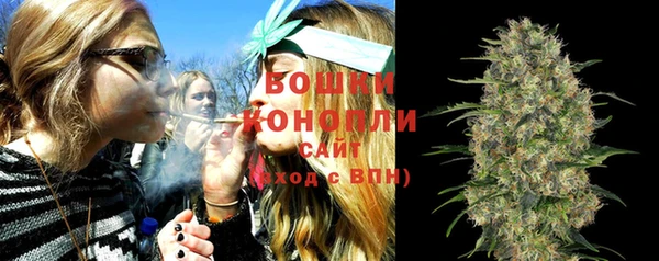 стаф Бородино