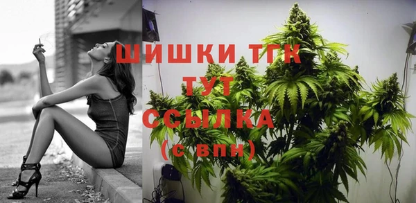 стаф Бородино
