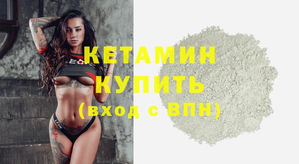 стаф Бородино