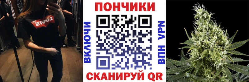 Шишки марихуана марихуана  как найти закладки  Павлово 